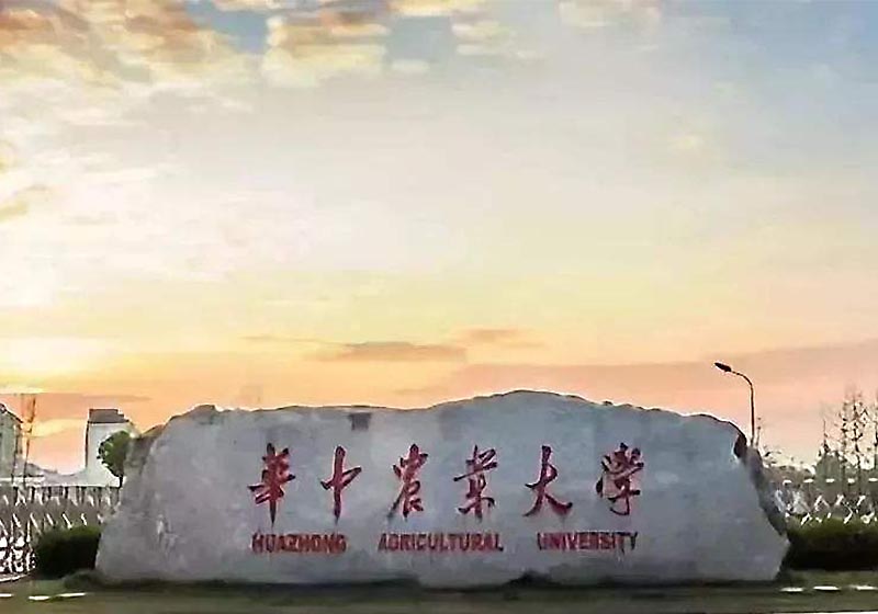 湖北叉車(chē)/武漢叉車(chē)案例:柴油叉車(chē) 湖北叉車(chē)/武漢叉車(chē)案例:柴油叉車(chē)